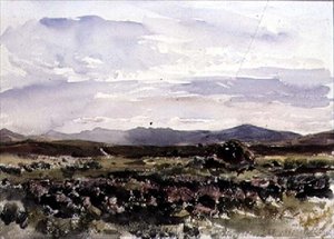 Sur les Collines, Dolwyddelan, Nord du Pays de Galles - Thomas Collier